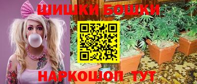 индика Будённовск